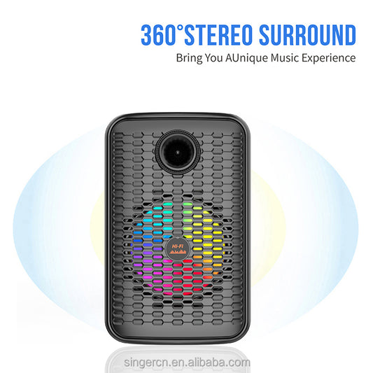 12 Inches Home Party Speaker ZQS12156S