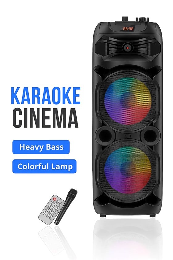 SING-E Karaoke Speaker Dual 8" ZQS2801