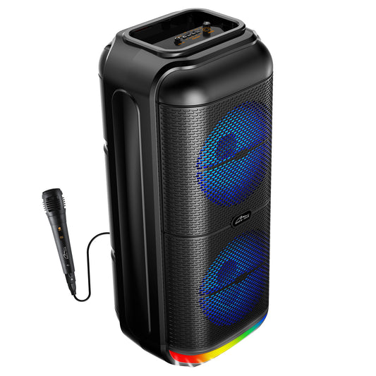 Party Speaker 6Inch x2