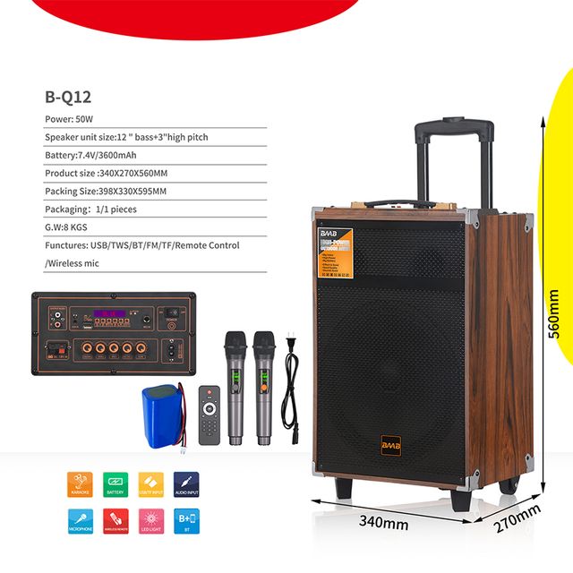 BAAB Speaker B-Q12  (2 Mics )