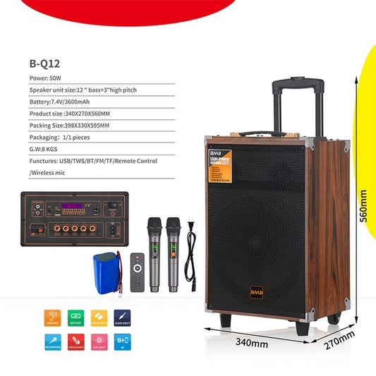 BAAB Speaker B-Q12  (2 Mics )