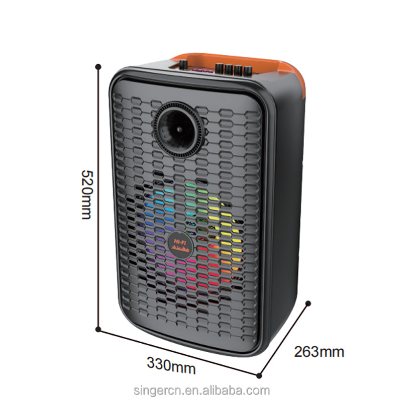 12 Inches Home Party Speaker ZQS12156S